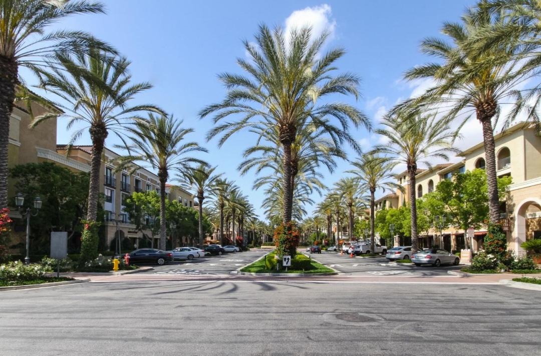 Photo of Others in Irvine