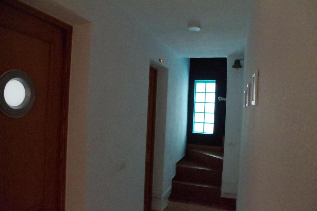 Photo of Others in Guimar