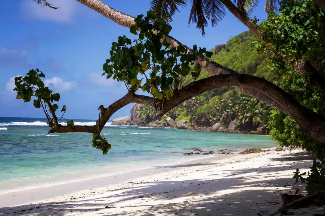 Photo of Others in Anse Royale