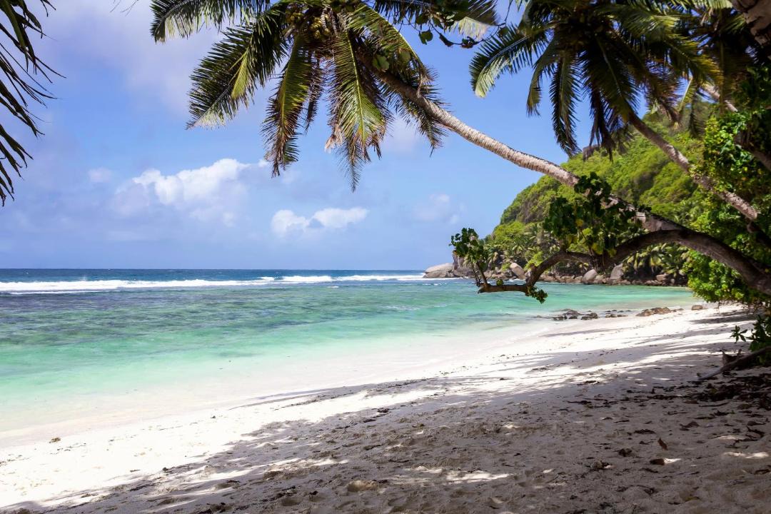Photo of Others in Anse Royale