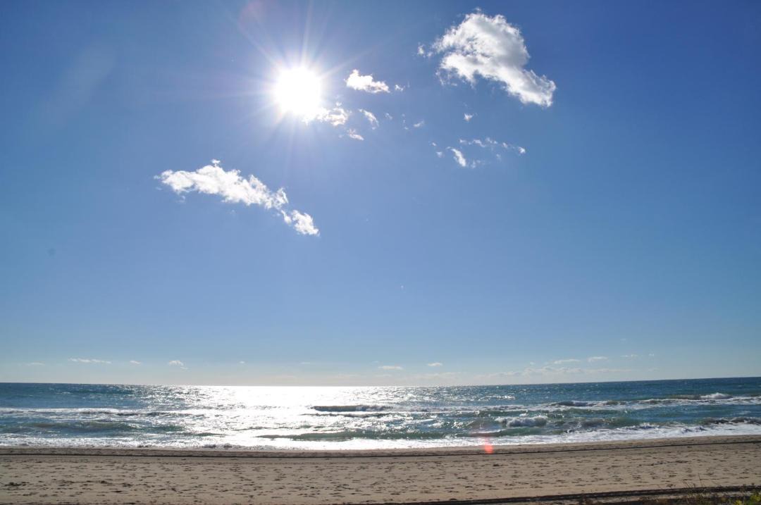 Photo of Others in Gava
