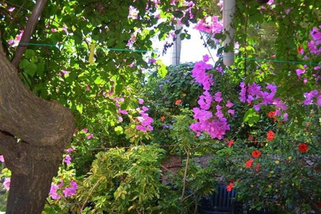 Photo of Buildings in Selimiye