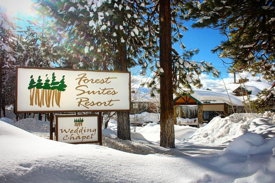 Photo of Others in South Lake Tahoe