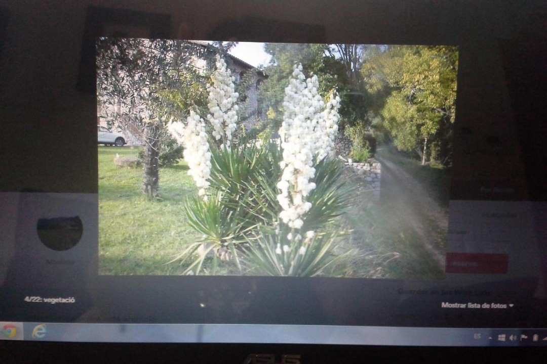 Photo of Outdoor in Sales de Llierca