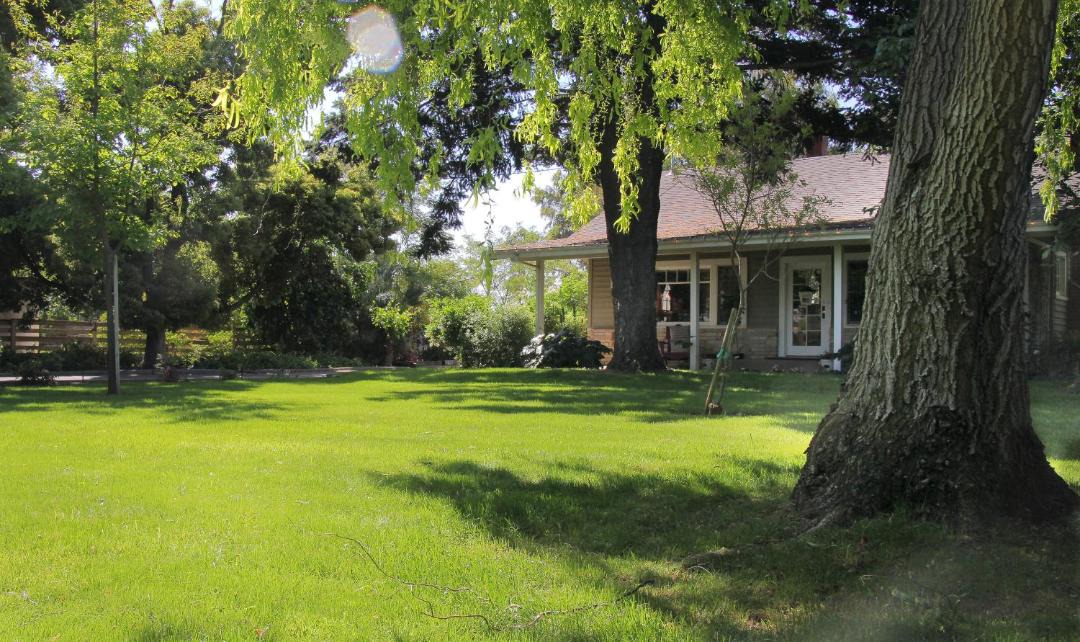Photo of Others in Lodi