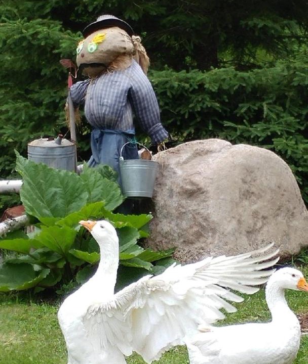 Photo of Others in Saint-Felix-d'Otis