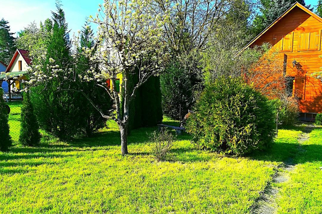 Photo of Others in Szarvas