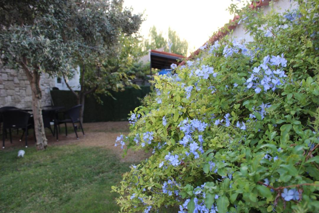 Photo of Outdoor in Hacımemis