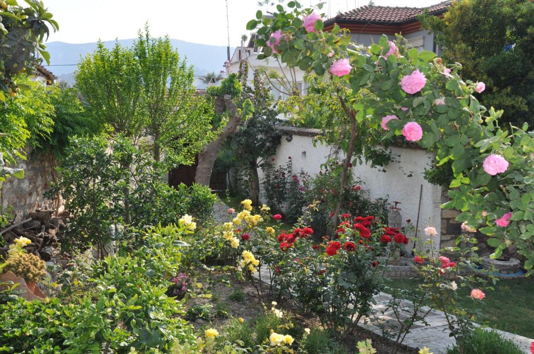 Photo of Others in Selcuk