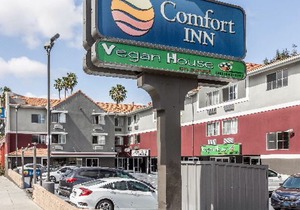 Comfort Inn Los Angeles Near Hollywood