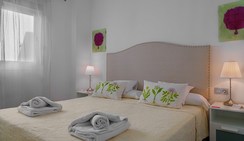 Executive Apartment