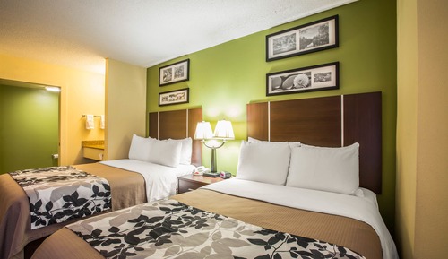 Standard Double Room, 2 Double Beds, Non Smoking