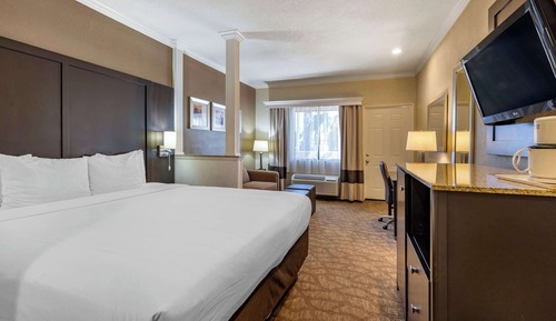 Deluxe Suite, One King Bed with Sofabed, Balcony,  Non Smoking