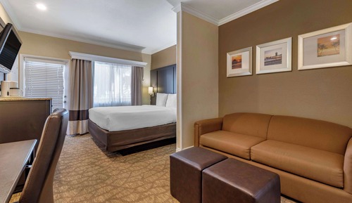 Premium Suite, One King Bed with Sofabed, Jetted Bathroom Tub, Balcony, Non Smoking