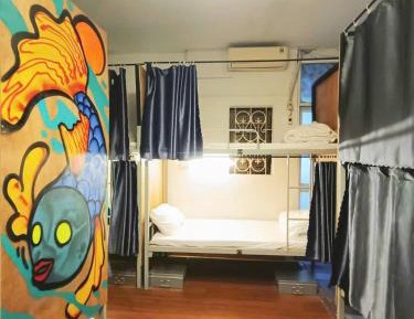Bunk Bed in Female Dormitory Room  