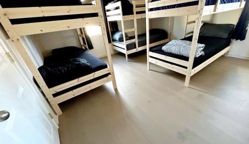 Bunk Bed in Mixed Dormitory Room