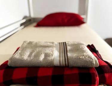 Bunk Bed in Mixed Dormitory Room