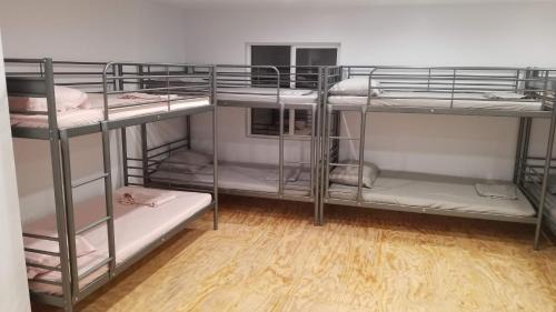 Bunk Bed in Female Dormitory Room  