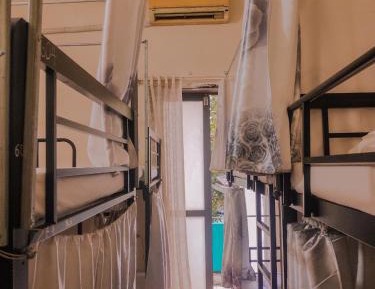 Bed in 8-Bed Dormitory Room
