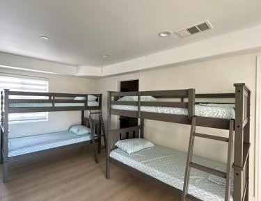 Bunk Bed in Mixed Dormitory Room