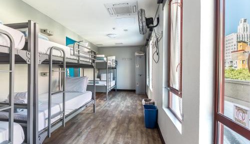 Bed in Women's 6-Bed Dormitory 