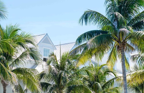 Key West Hotel | Parrot Key Hotel & Villas
