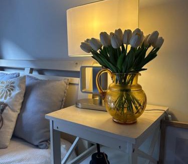 Brighton-le-Sands House | Coastal Cottage B