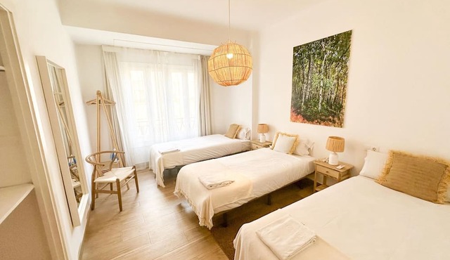 Malaga Holidays City Center 5 bedrooms & Terrace