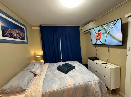 Canberra Hospital Blue Daisy- Sleep & Go