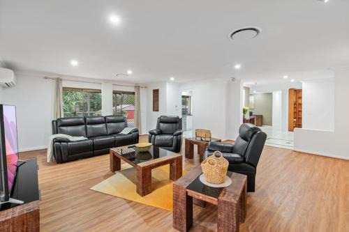 Nature Escape Acreage Forest Life